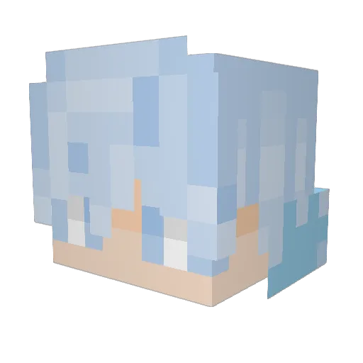 nervofisherman Minecraft avatar head, 3D render