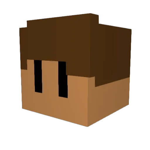 nery560 Minecraft avatar head, 3D render