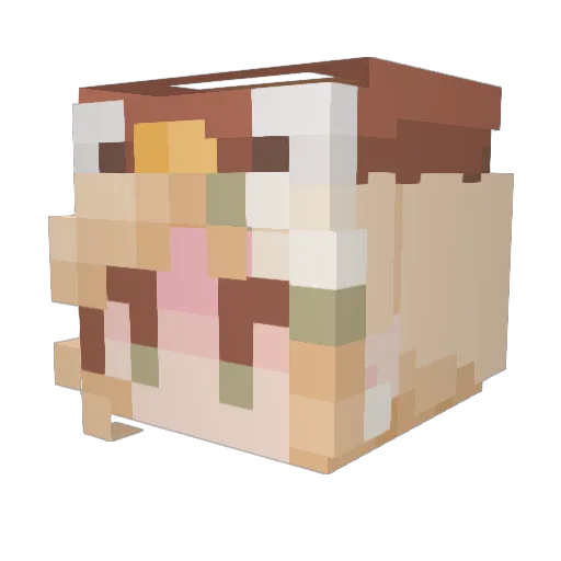 nesanxD Minecraft avatar head, 3D render