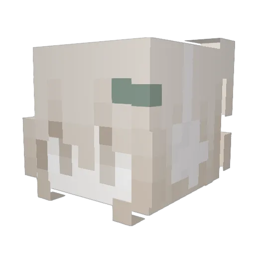nesarg Minecraft avatar head, 3D render