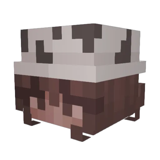 neshawhite Minecraft avatar head, 3D render