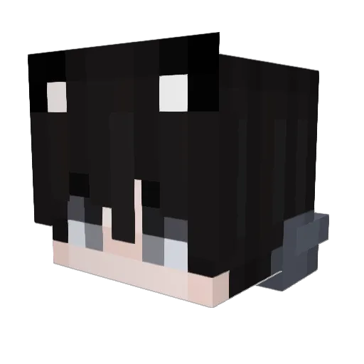 nesiddo_ Minecraft avatar head, 3D render
