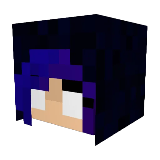 nessanu Minecraft avatar head, 3D render