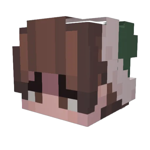 nessaxander Minecraft avatar head, 3D render
