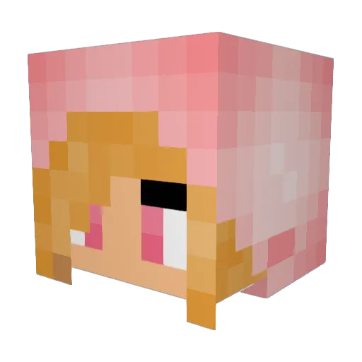 nessienoosikins Minecraft avatar head, 3D render