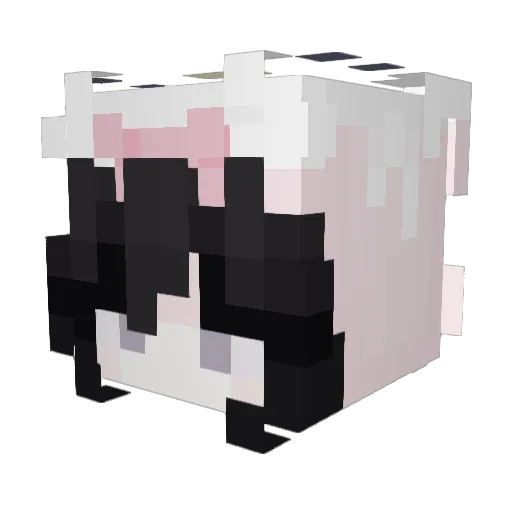 nessssuwu Minecraft avatar head, 3D render