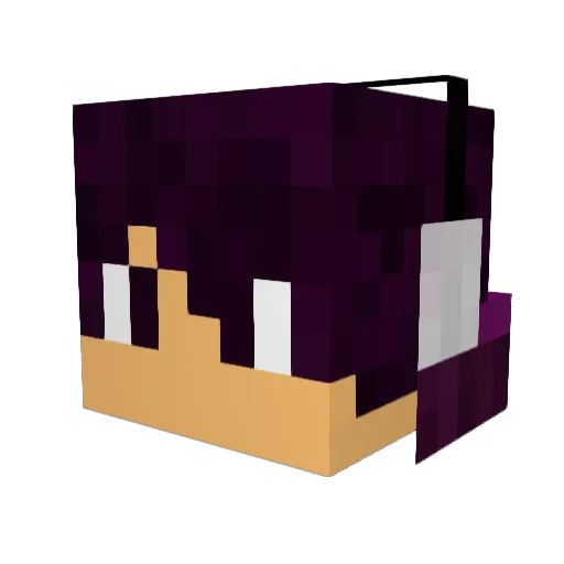 nest10 Minecraft avatar head, 3D render