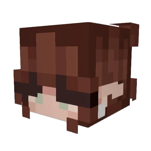 nestastarkov Minecraft avatar head, 3D render