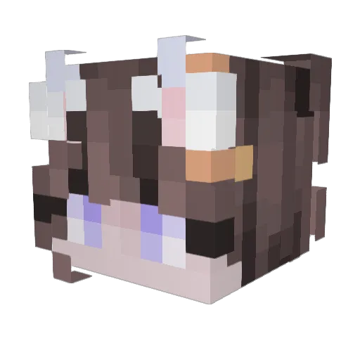 netLuna Minecraft avatar head, 3D render