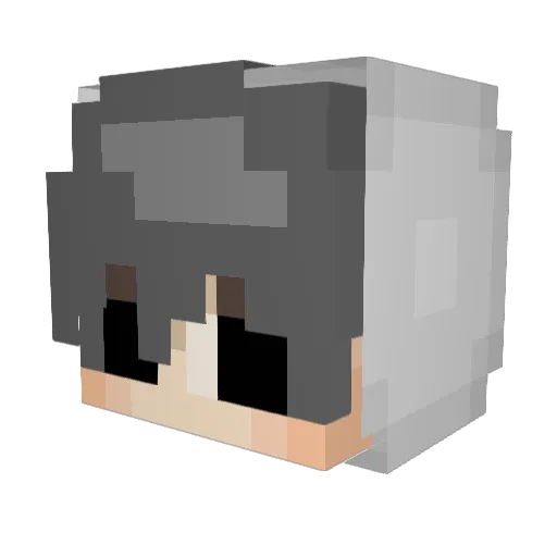netVodka Minecraft avatar head, 3D render