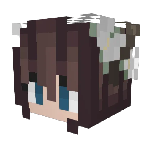 net_cat Minecraft avatar head, 3D render
