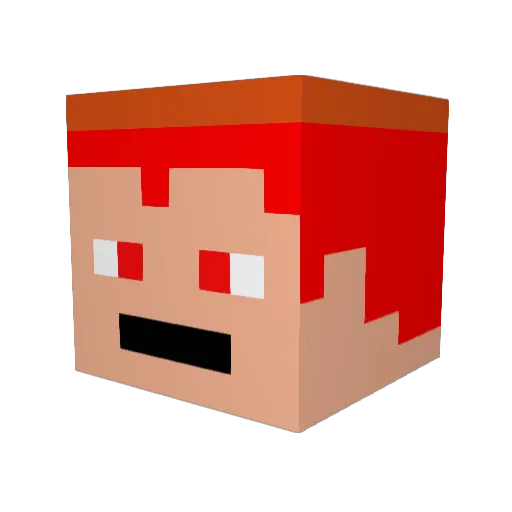 neta_foxe Minecraft avatar head, 3D render