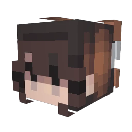 netflixus Minecraft avatar head, 3D render