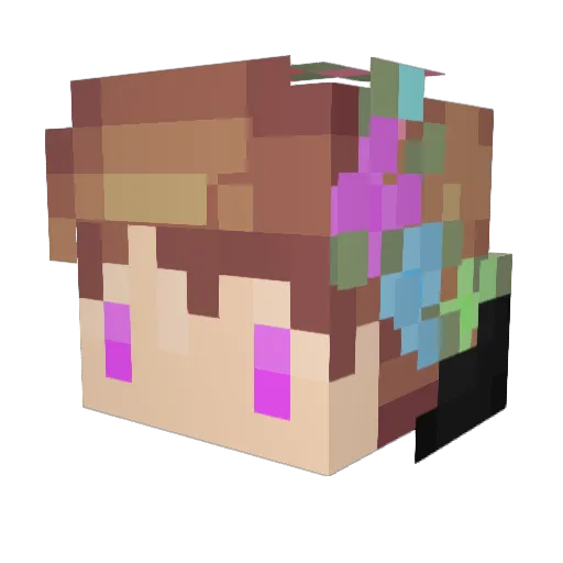 netheritehoe68 Minecraft avatar head, 3D render