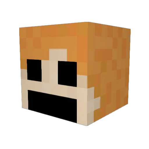 netheritepickles Minecraft avatar head, 3D render