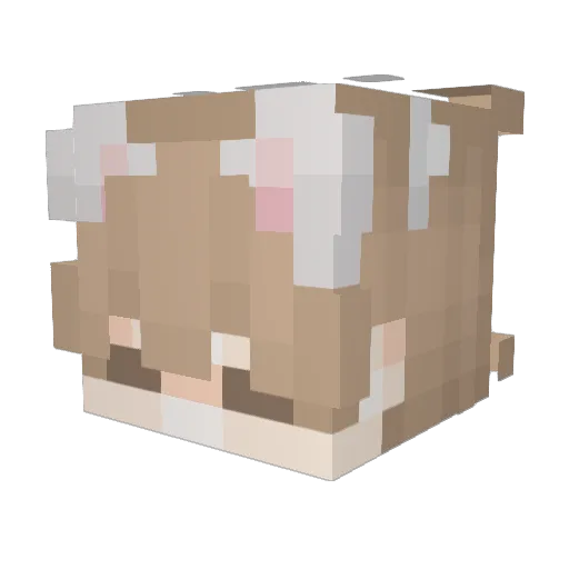 netherlesss Minecraft avatar head, 3D render