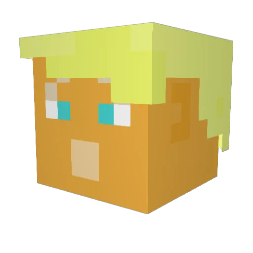 netherman456 Minecraft avatar head, 3D render