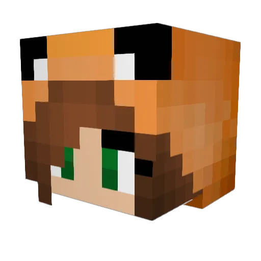 netherwarrior183 Minecraft avatar head, 3D render