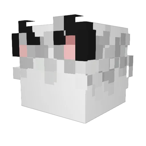 nethiuw Minecraft avatar head, 3D render