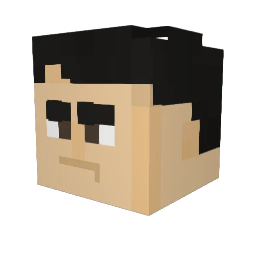 netinquietepas Minecraft avatar head, 3D render