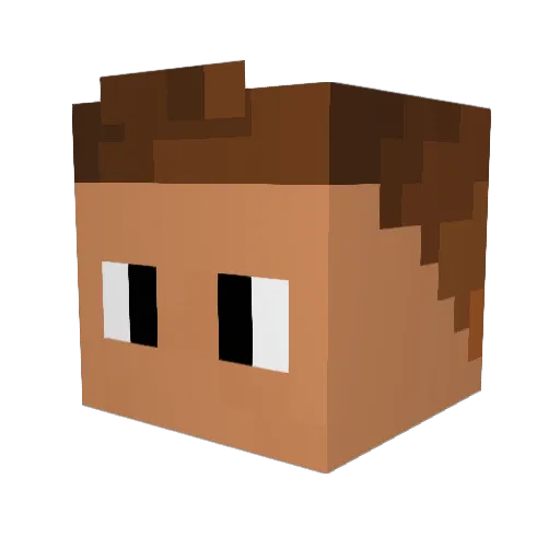 netlac Minecraft avatar head, 3D render