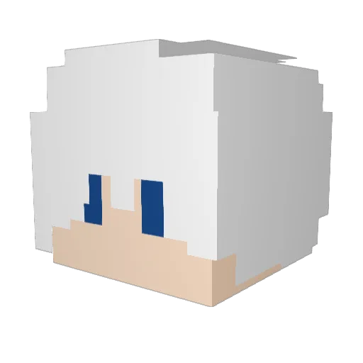 neto8090 Minecraft avatar head, 3D render