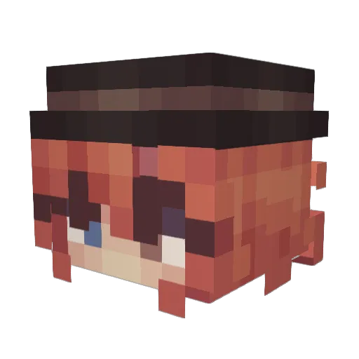 netterfeger_187 Minecraft avatar head, 3D render