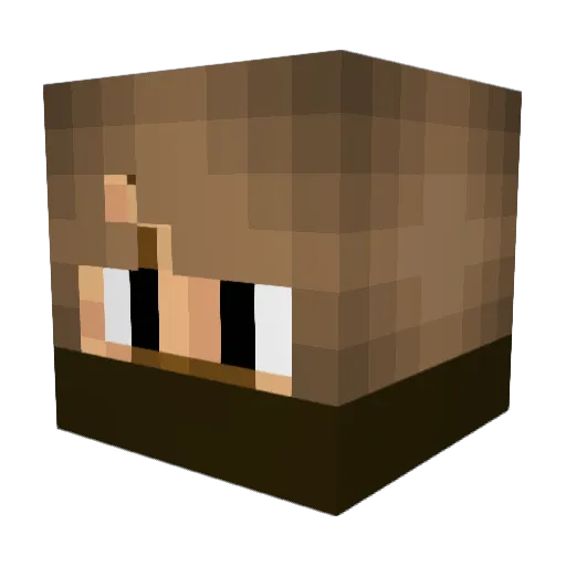 netters0830 Minecraft avatar head, 3D render
