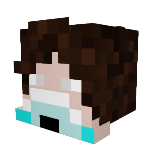 nettogang Minecraft avatar head, 3D render