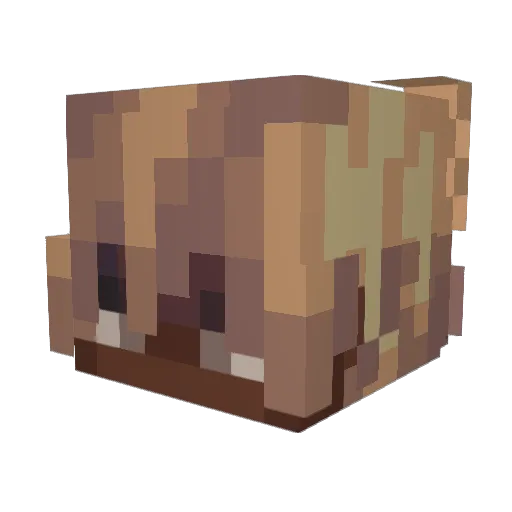 nettork Minecraft avatar head, 3D render