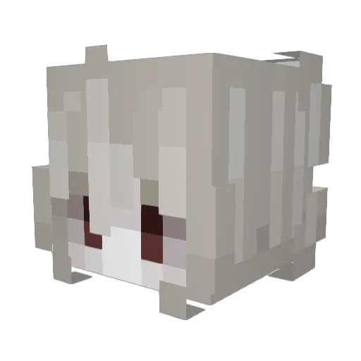 nettspend_ Minecraft avatar head, 3D render
