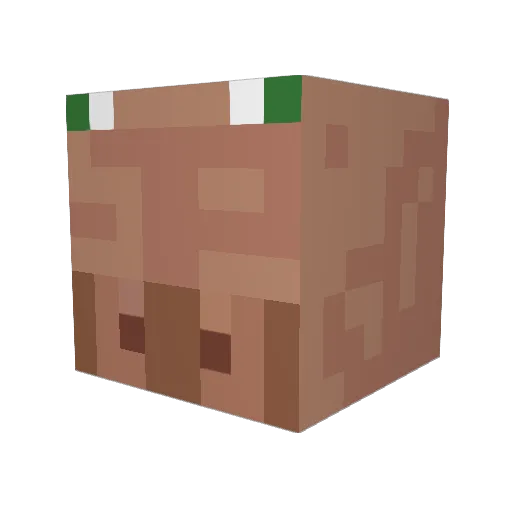 neturtelis Minecraft avatar head, 3D render