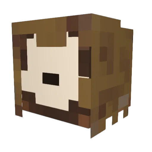 neumotora Minecraft avatar head, 3D render