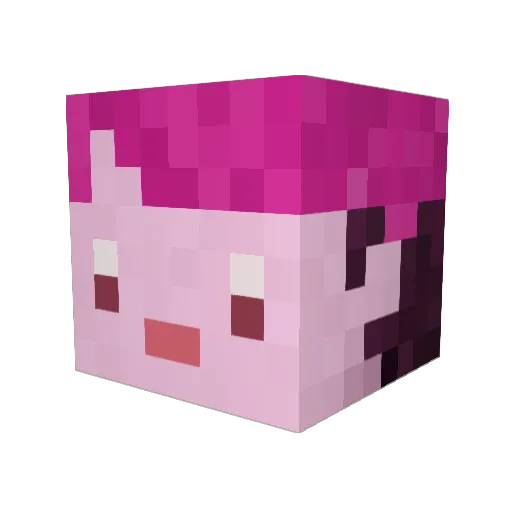 neuroMana Minecraft avatar head, 3D render