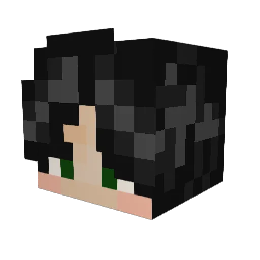 neuss_ Minecraft avatar head, 3D render