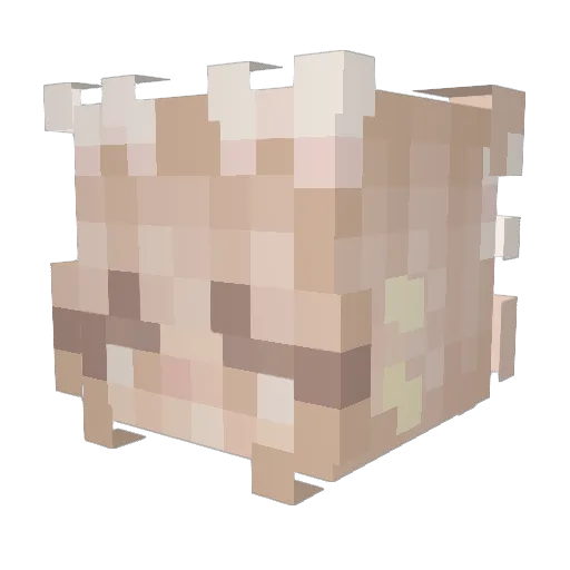 neutralfleur Minecraft avatar head, 3D render