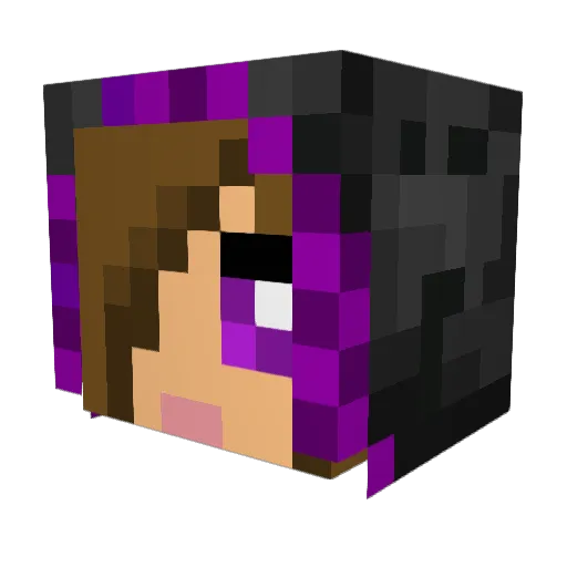nev123 Minecraft avatar head, 3D render