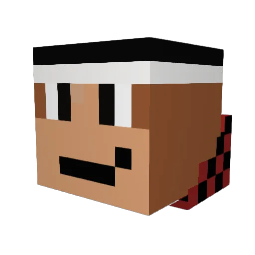nevalosin Minecraft avatar head, 3D render