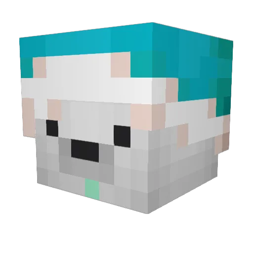 nevep6 Minecraft avatar head, 3D render