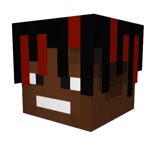 never511 Minecraft avatar head, 3D render