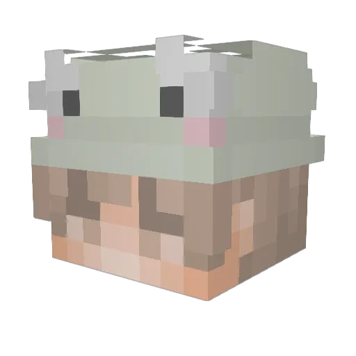 never_lucky Minecraft avatar head, 3D render