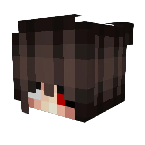 neverchaseagod Minecraft avatar head, 3D render