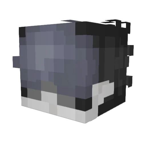 neveris1 Minecraft avatar head, 3D render