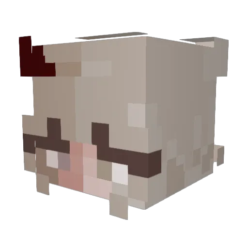neverkillpigs1 Minecraft avatar head, 3D render