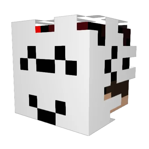 neverlikezero Minecraft avatar head, 3D render