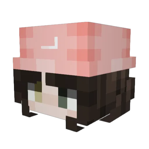 nevrx Minecraft avatar head, 3D render