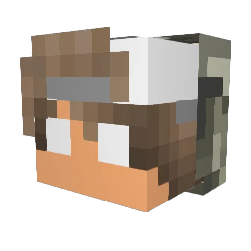 nevs04 Minecraft avatar head, 3D render
