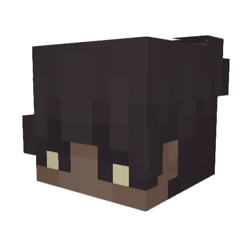 new_wifi Minecraft avatar head, 3D render
