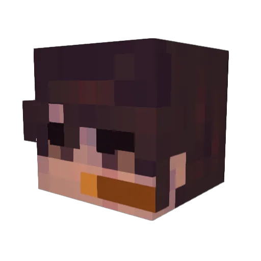 newaccountforme Minecraft avatar head, 3D render