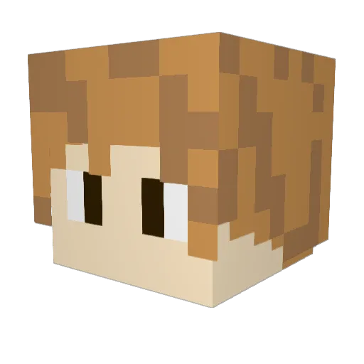newark1234 Minecraft avatar head, 3D render